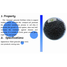 Organic Seaweed Extract Granular Fertilizer